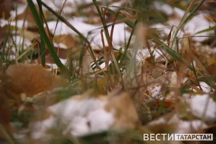 🌨️ Заморозки, мокрый снег и сильный ветер