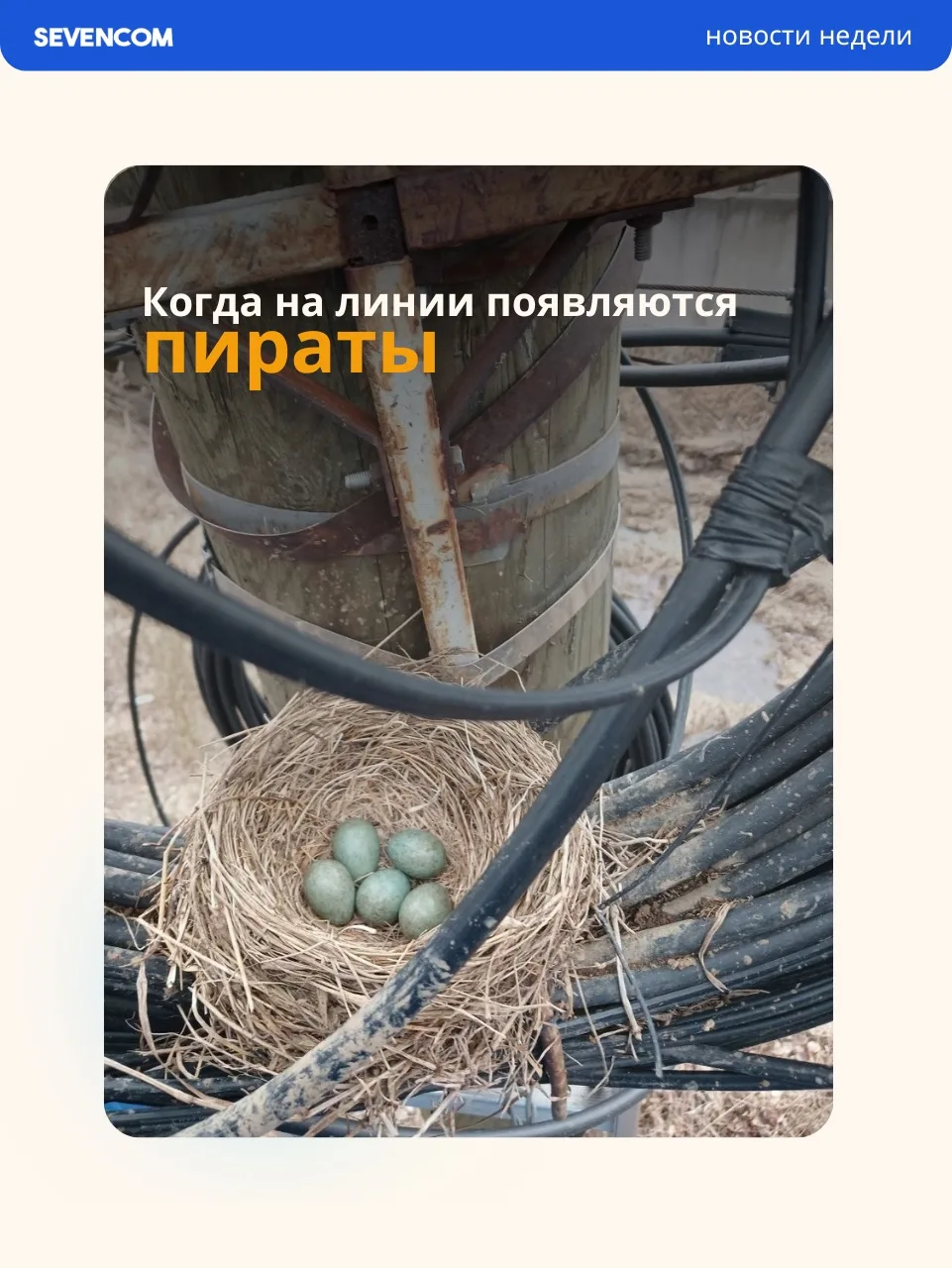 Немного из рабочих будней, соседи 😄