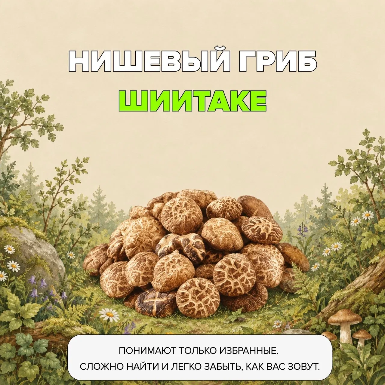 Отмечаем День грибника в домашних условиях: пишите в комментариях, какой вы гриб, и пер...