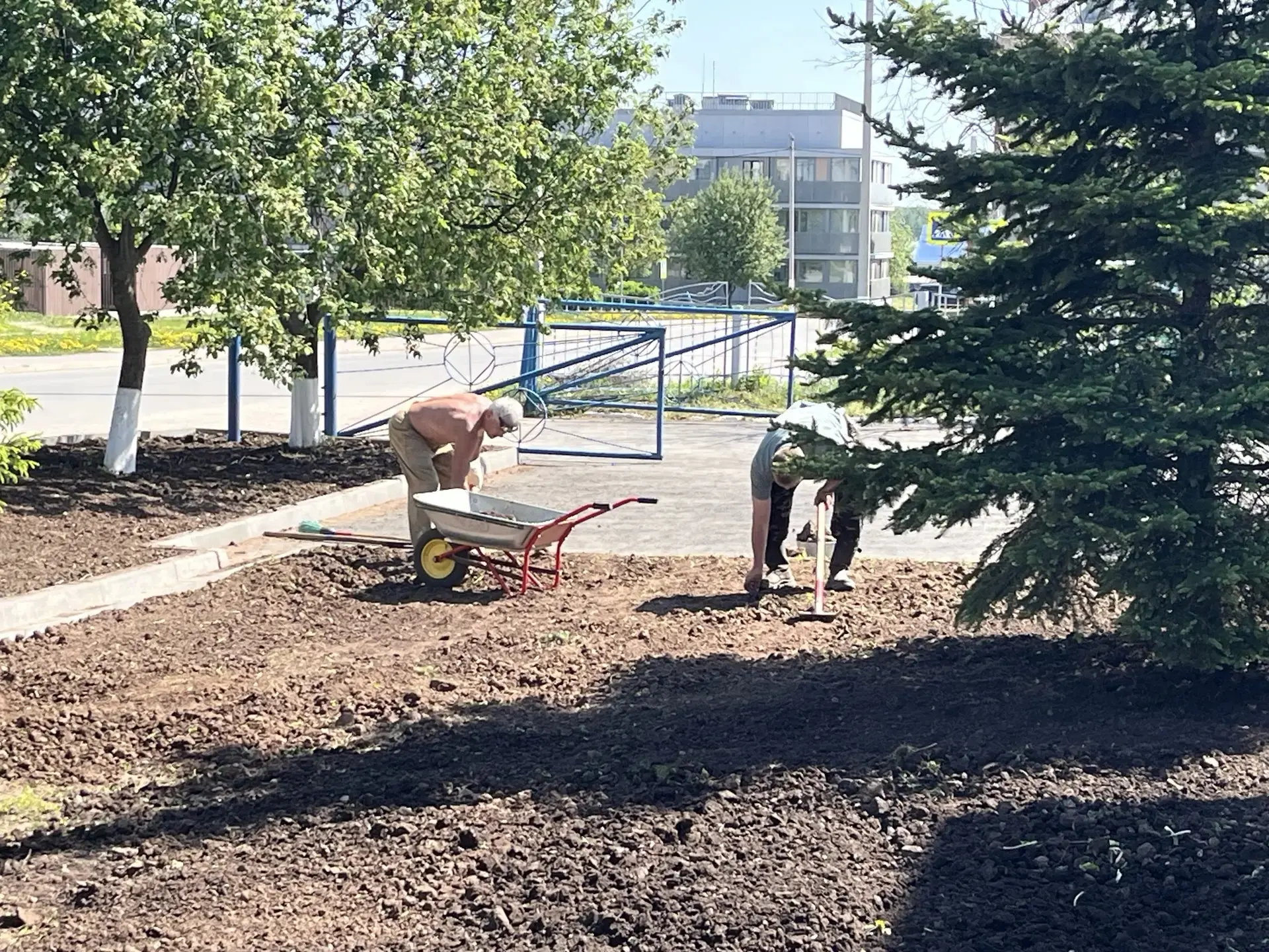 🌱 Сотрудники оздоровительного центра своими силами благоустроили газон!

Совместными усилиями коман