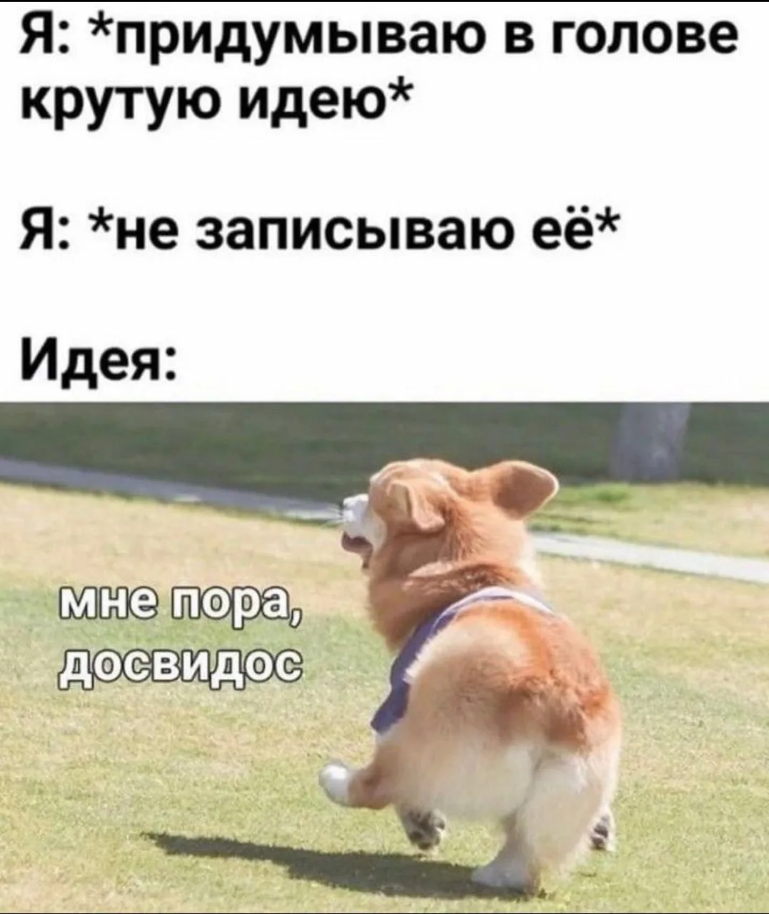МемоБосс