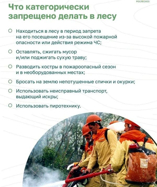 ⚡Сегодня, 29 июля, в лесах Марий Эл III класс пожарной опасности.