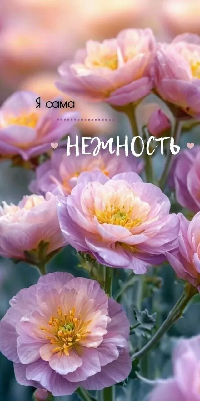 🥰 Оставляйте реакции, если понравилась открытка и делитесь с близкими ❤️

Лучшие Открытки в MAX
