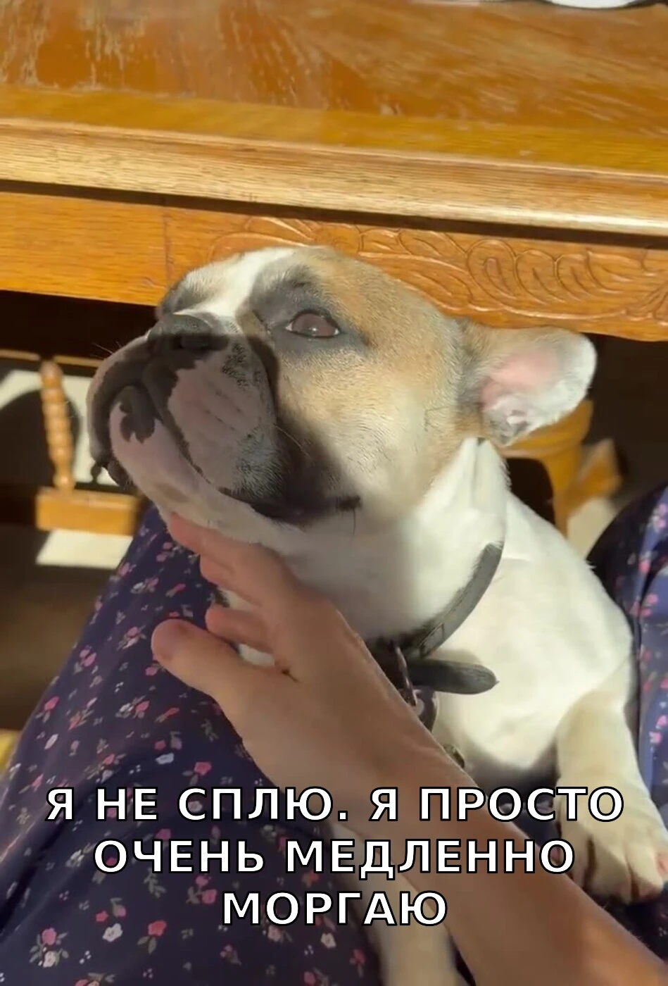 Утро понедельника! Как же хочется спааать!