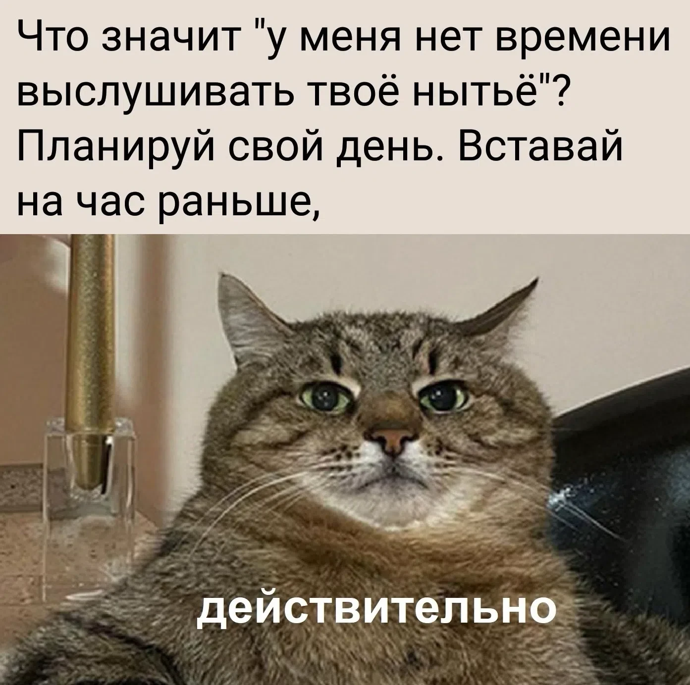 Сегодня пятница. Место, где можно "ПОНЫТЬ" ЗДЕСЬ⬇️