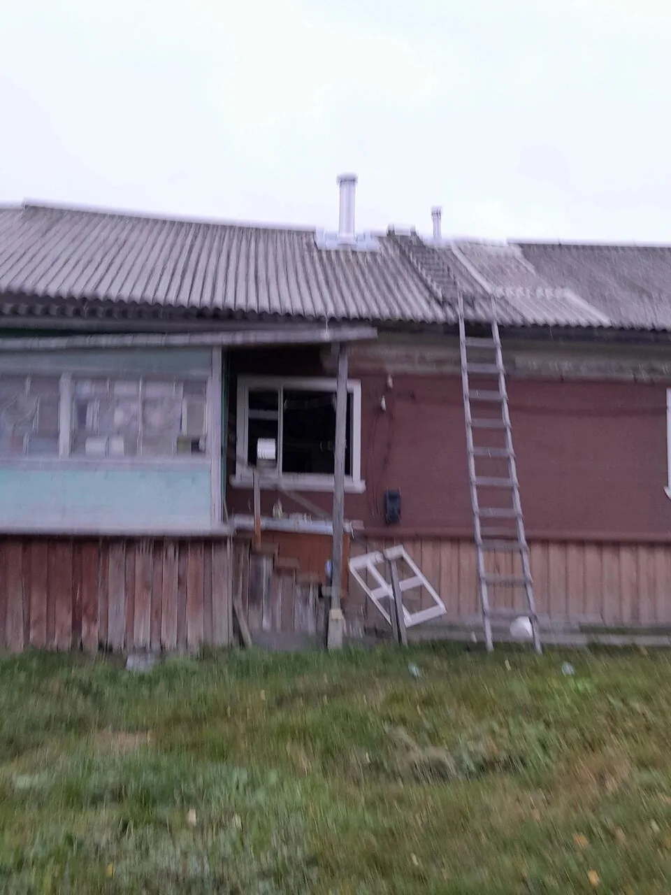 ⚡ Медведи атакуют Золотицу — жители без помощи
