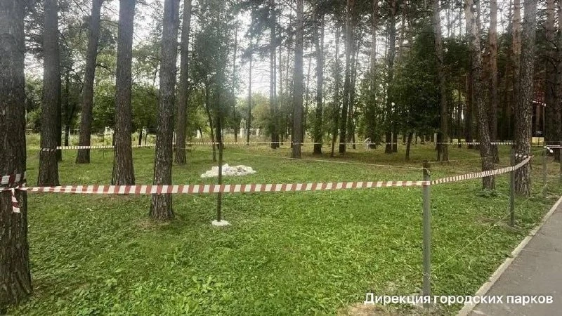 🐐 Небольшой контактный зоопарк появится в Первомайском парке