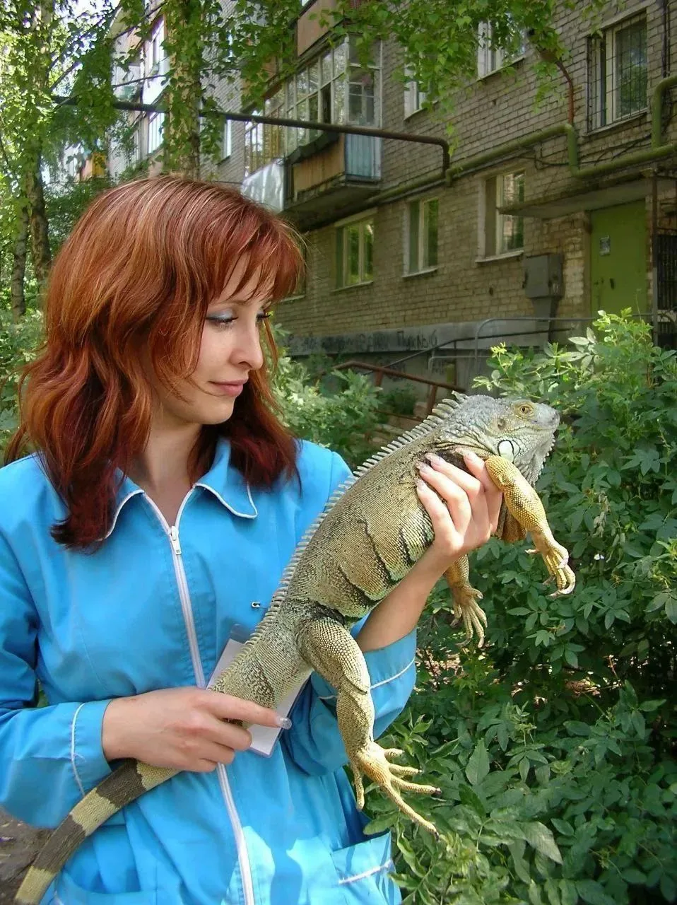 Игуана хлестала ее хвостом, на нее матерился гусь, про царапины и куси от благодарных п...