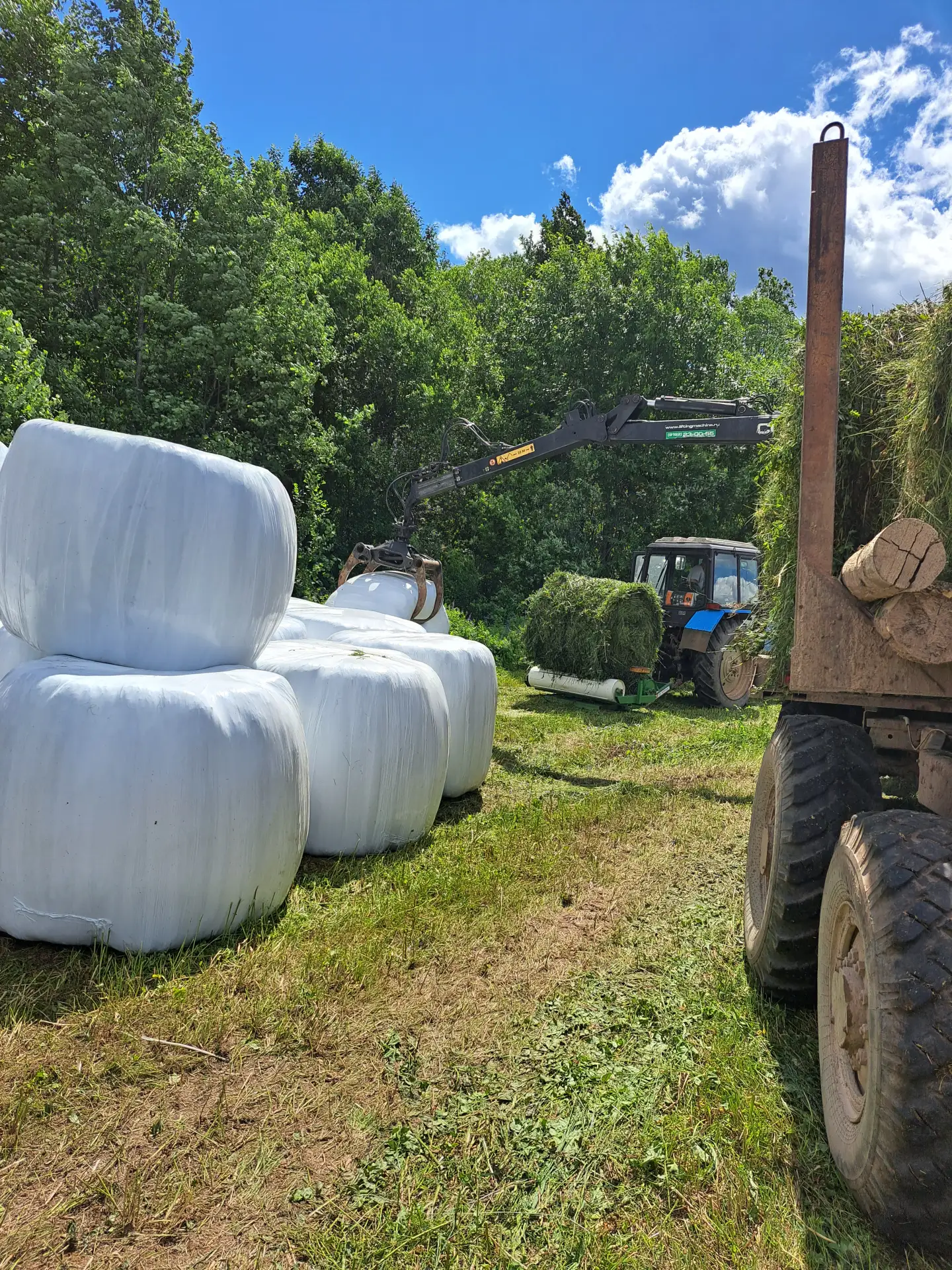 🚜Кормозаготовительная кампания в разгаре