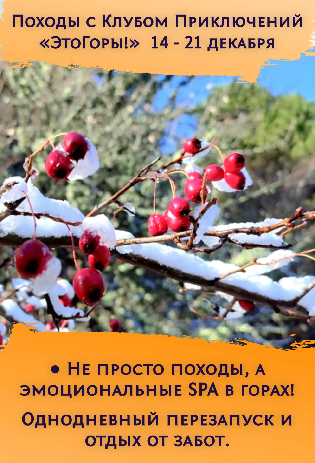 ● Не просто походы, а эмоциональные SPA в горах! Однодневный перезапуск и настоящий ант...
