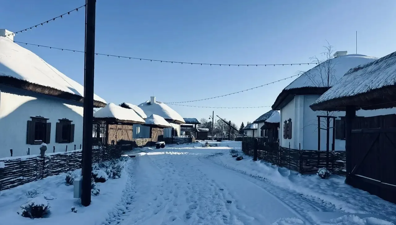Колотиловка 2023-2024❤️‍🩹