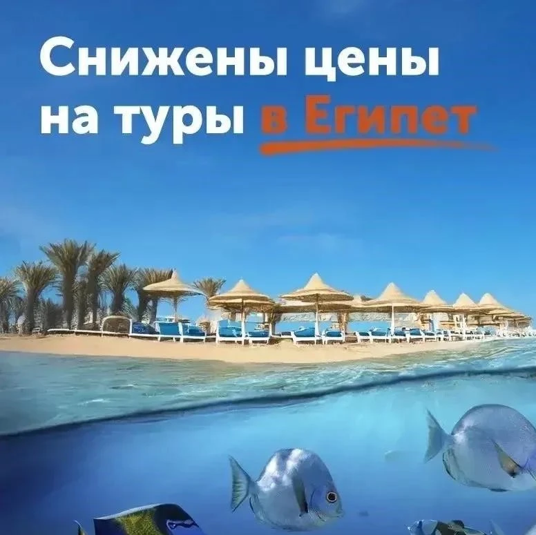 Ноябрьские праздники на Красном море