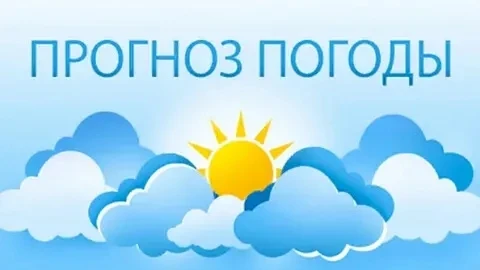 На 08:00 01.07.26 г. температура воздуха в с.Илек +16°С, ветер северный 2-4 м/с. Осадки...