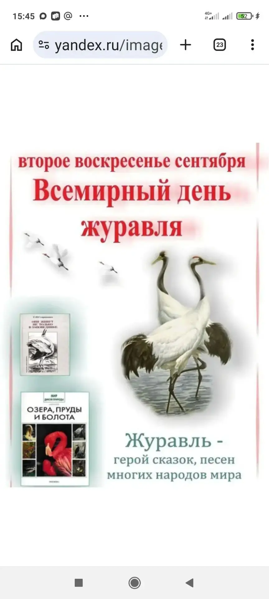 📅 В 2026 году Всемирный день журавля отмечали 13 сентября.