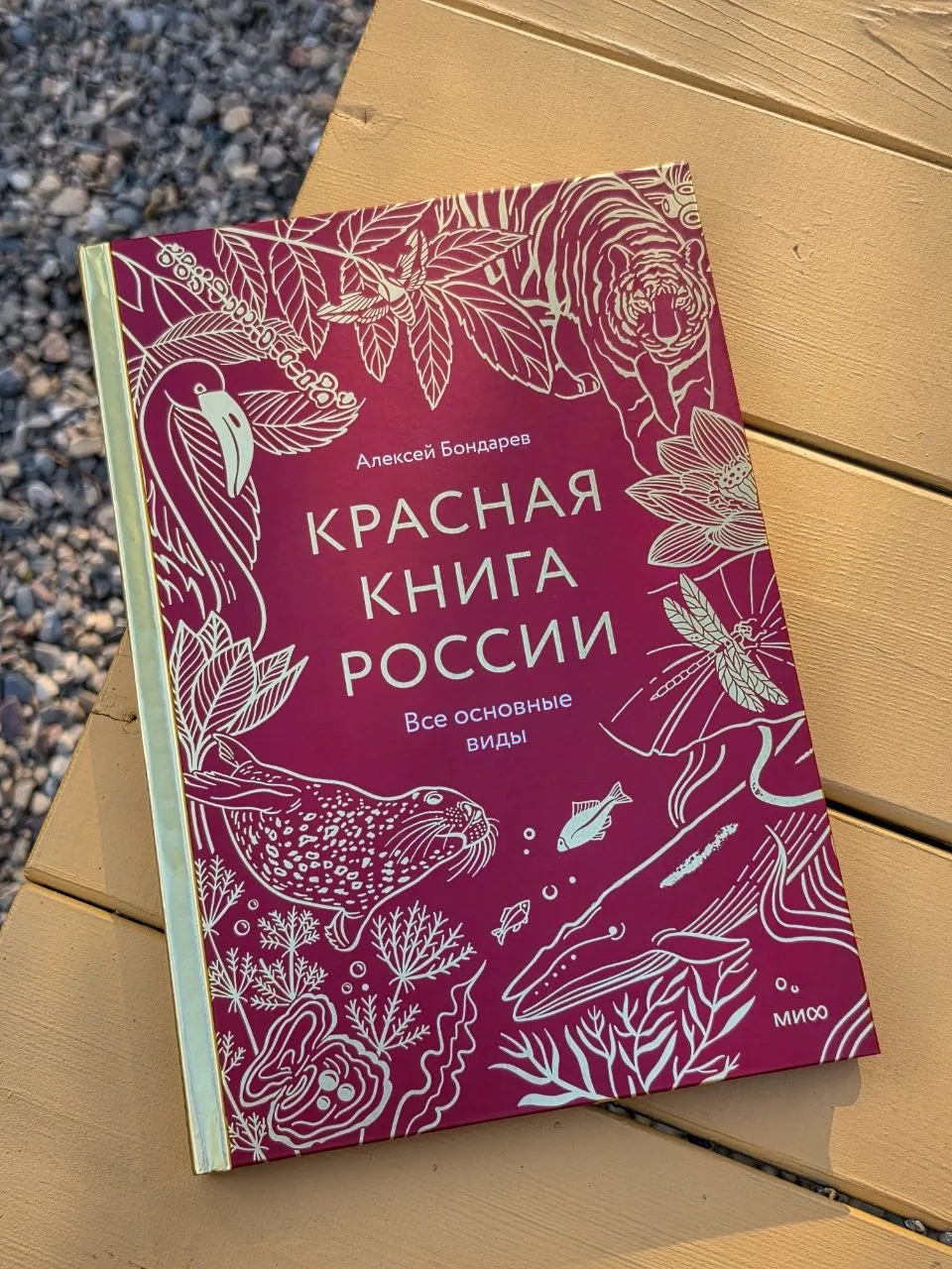 Книга, которую давно хотела добавить в нашу библиотеку ❤️
