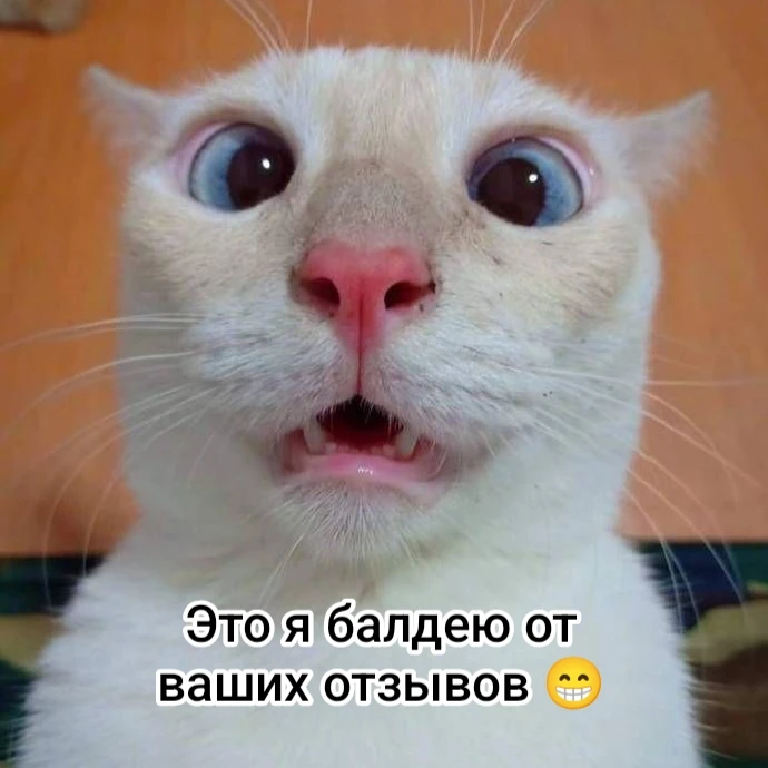 ❤️😁