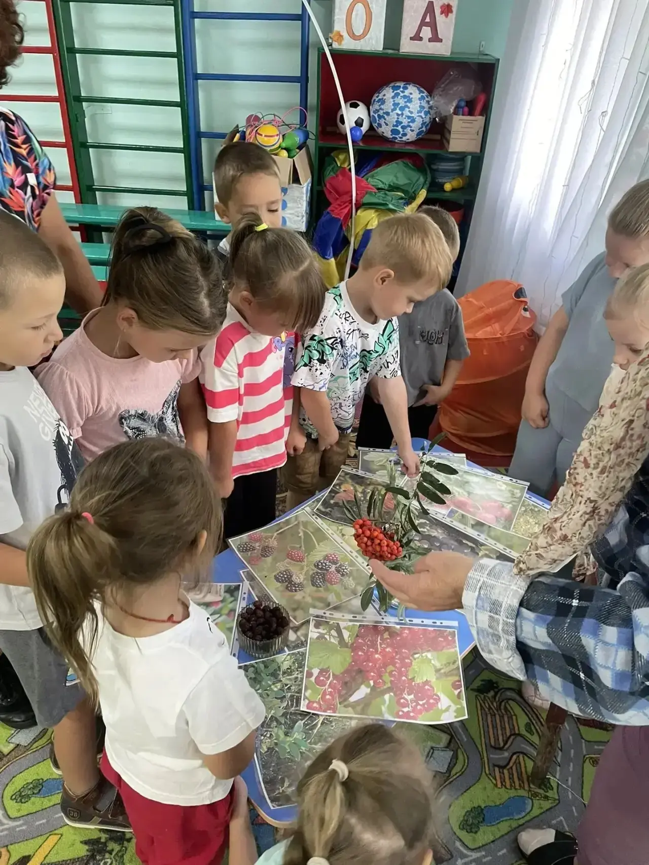 По грибы- ягоды