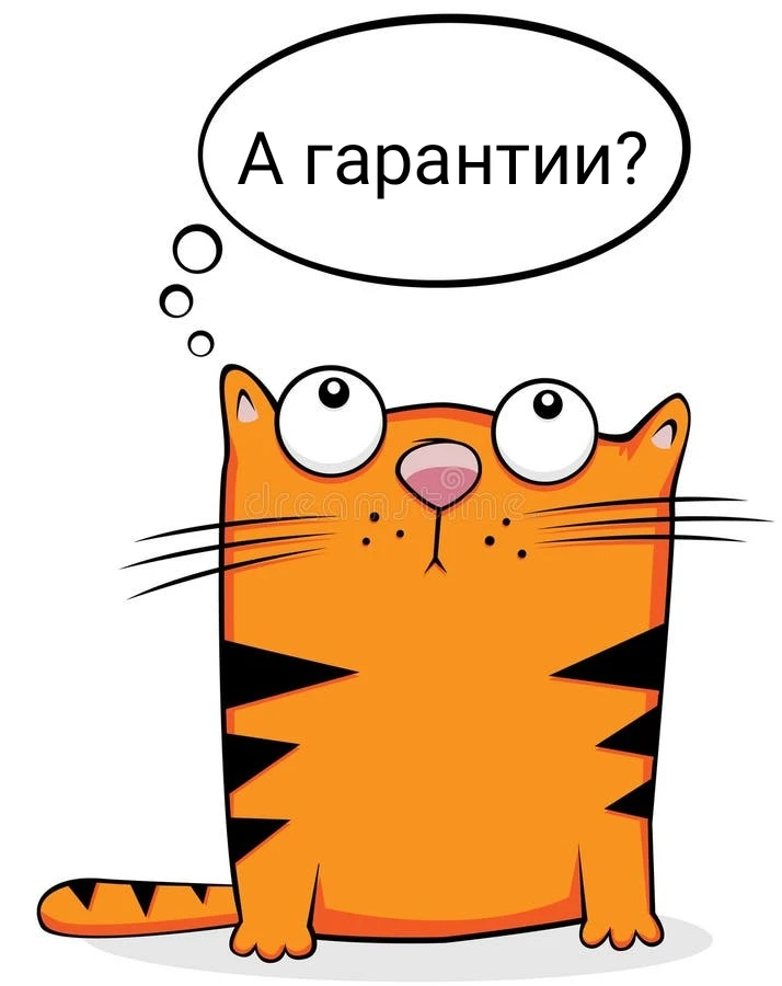 Существуют ли гарантии?