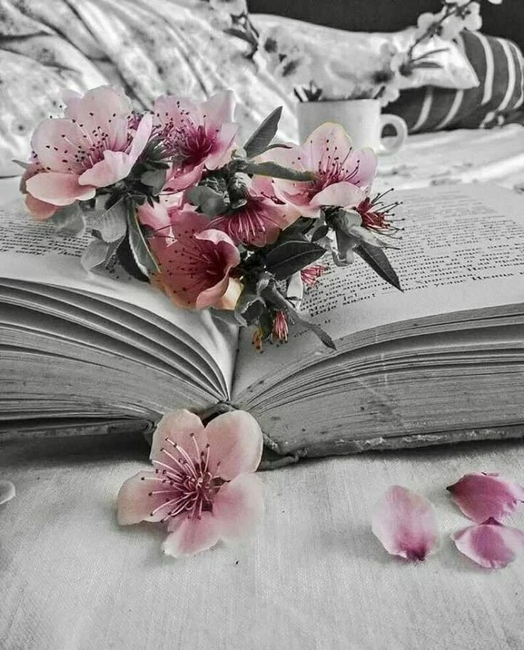 Подготовили для вас подборку самых интересных книжных каналов 
Здесь каждый найдёт своё! Знакомьтесь