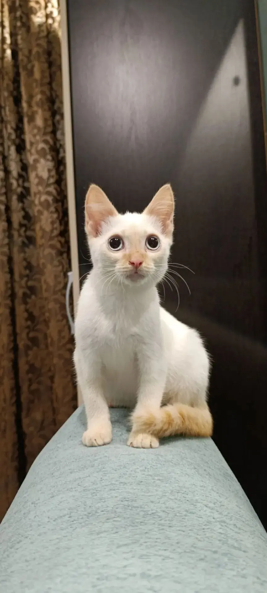 ❤️БУДТО СОШЕЛ С КАРТИНЫ😺