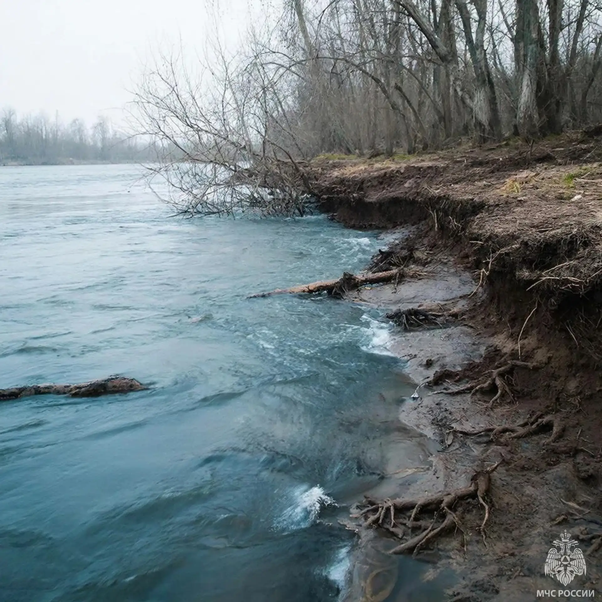 🌊Когда красота становится опасной..