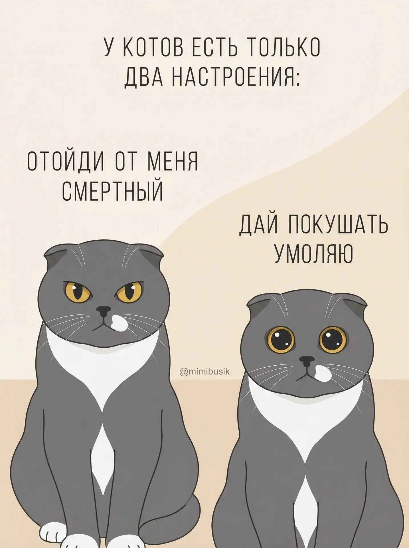 Эталонная кошачья логика. Пытаешься погладить — «уйди, противный», решил заняться делами — «покорми,
