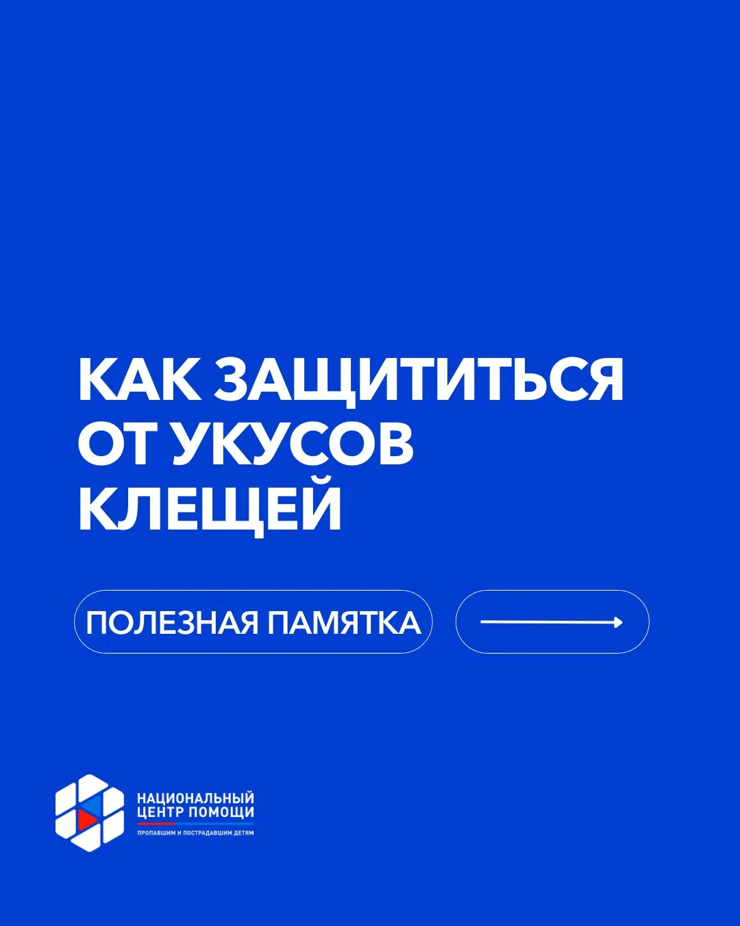 Клещи никуда не делись — будьте внимательны🐞