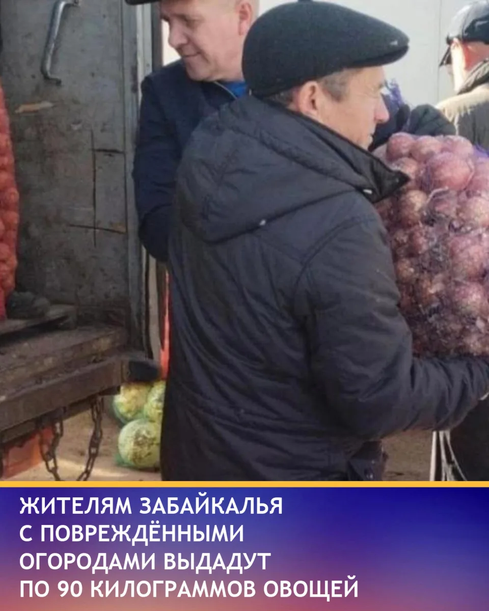 Жителям Забайкалья, чьи огороды пострадали от летних паводков, выдадут продовольственну...