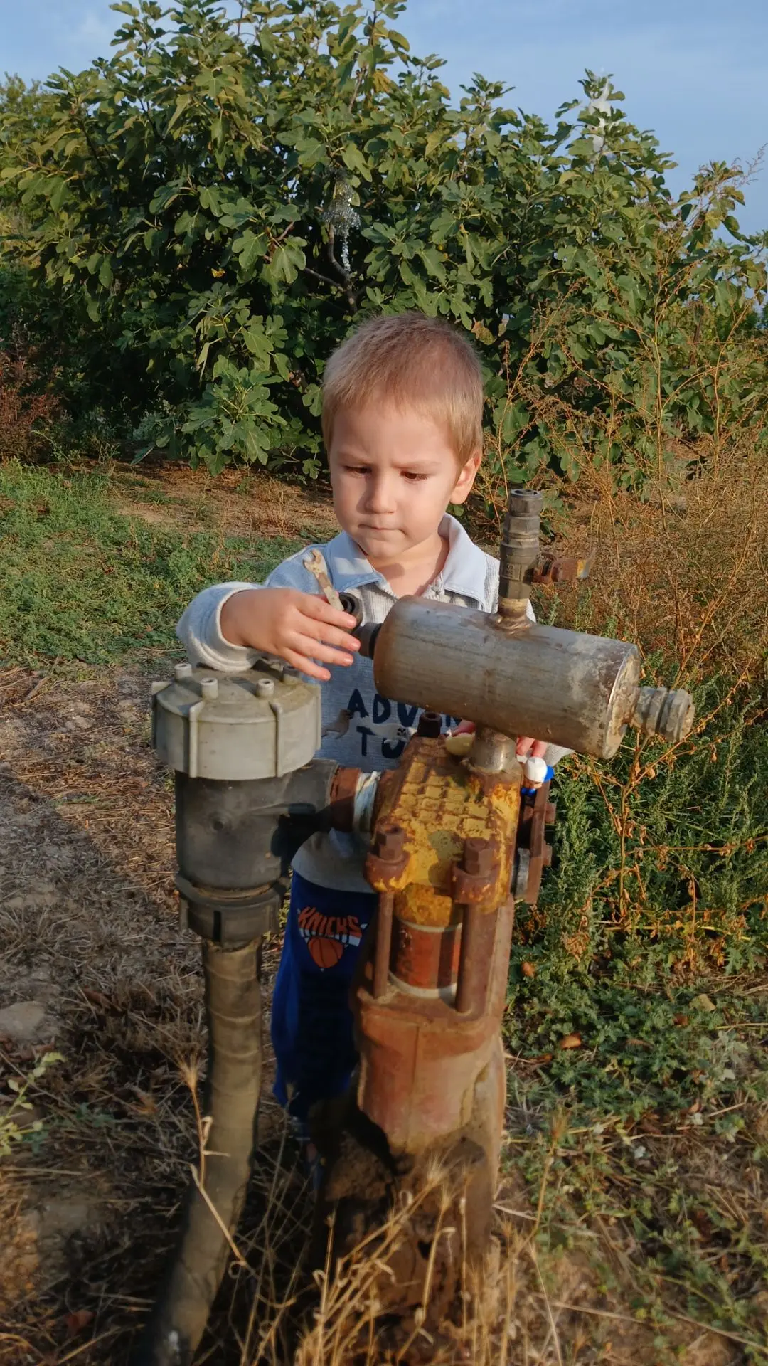 Хозяйничаем во дворе