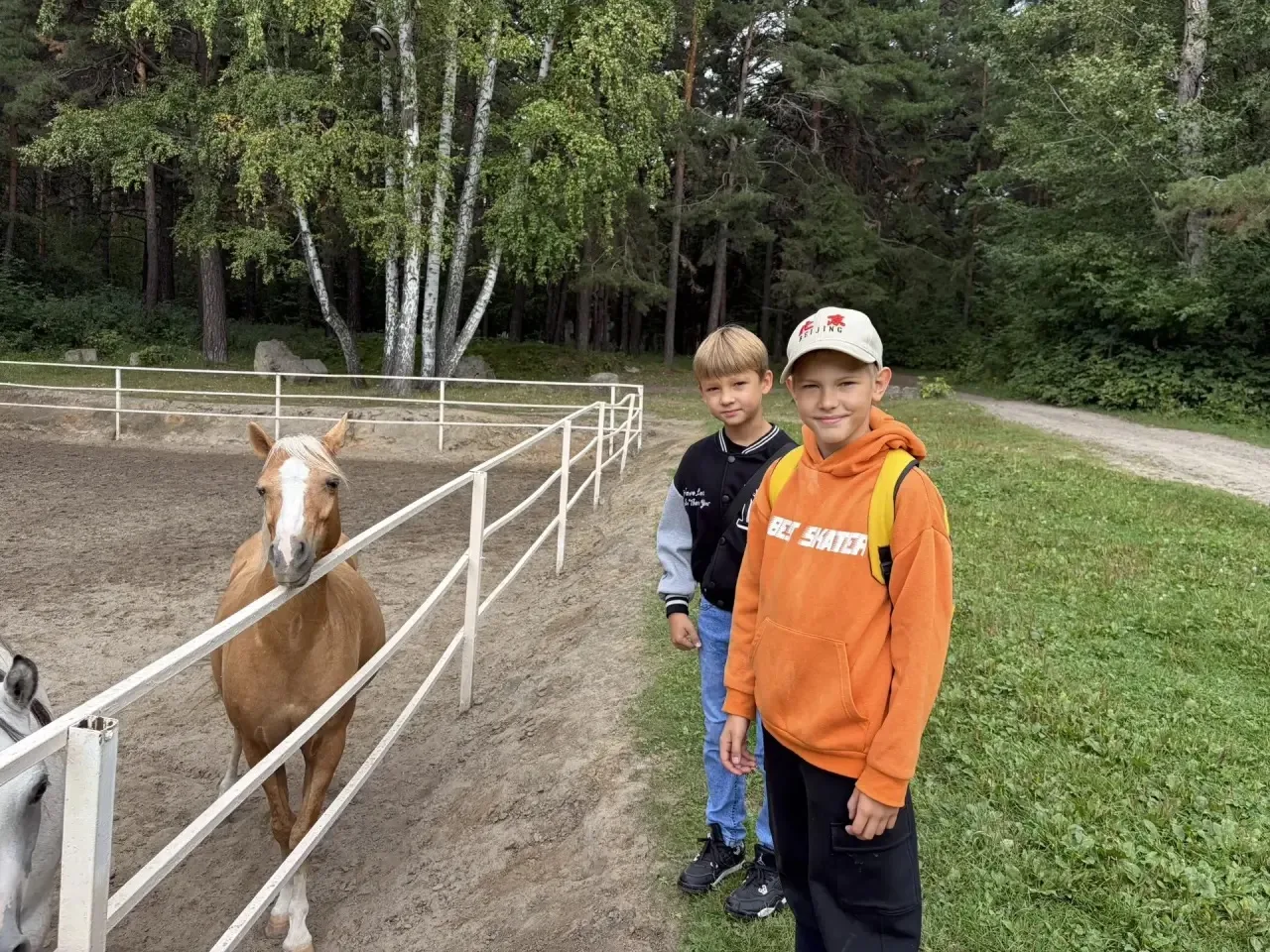 🐴 ВТОРАЯ НЕДЕЛЯ ПЛОЩАДКИ: ДЕНЬ С ЛОШАДЬМИ!