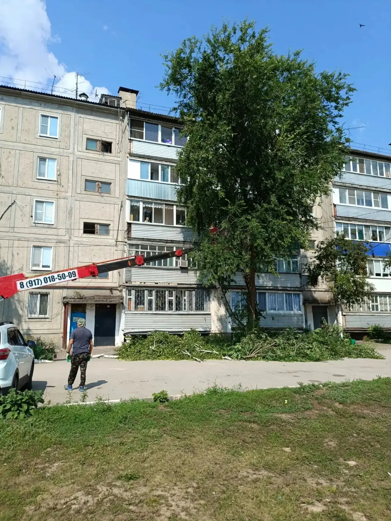 🌳 По просьбе жителей — наводим порядок! ✂️
