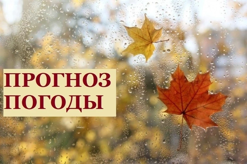 16 сентября: облачно с прояснениями, кратковременный дождь. Ветер северный 8-13 м/с. Те...