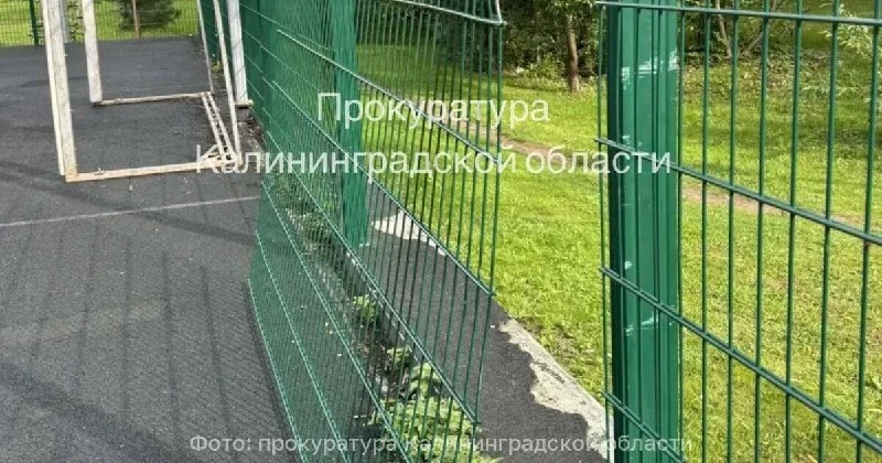 Администрация Зеленоградска оказалась ответчиком в иске, поданном от лица 12-летнего сп...