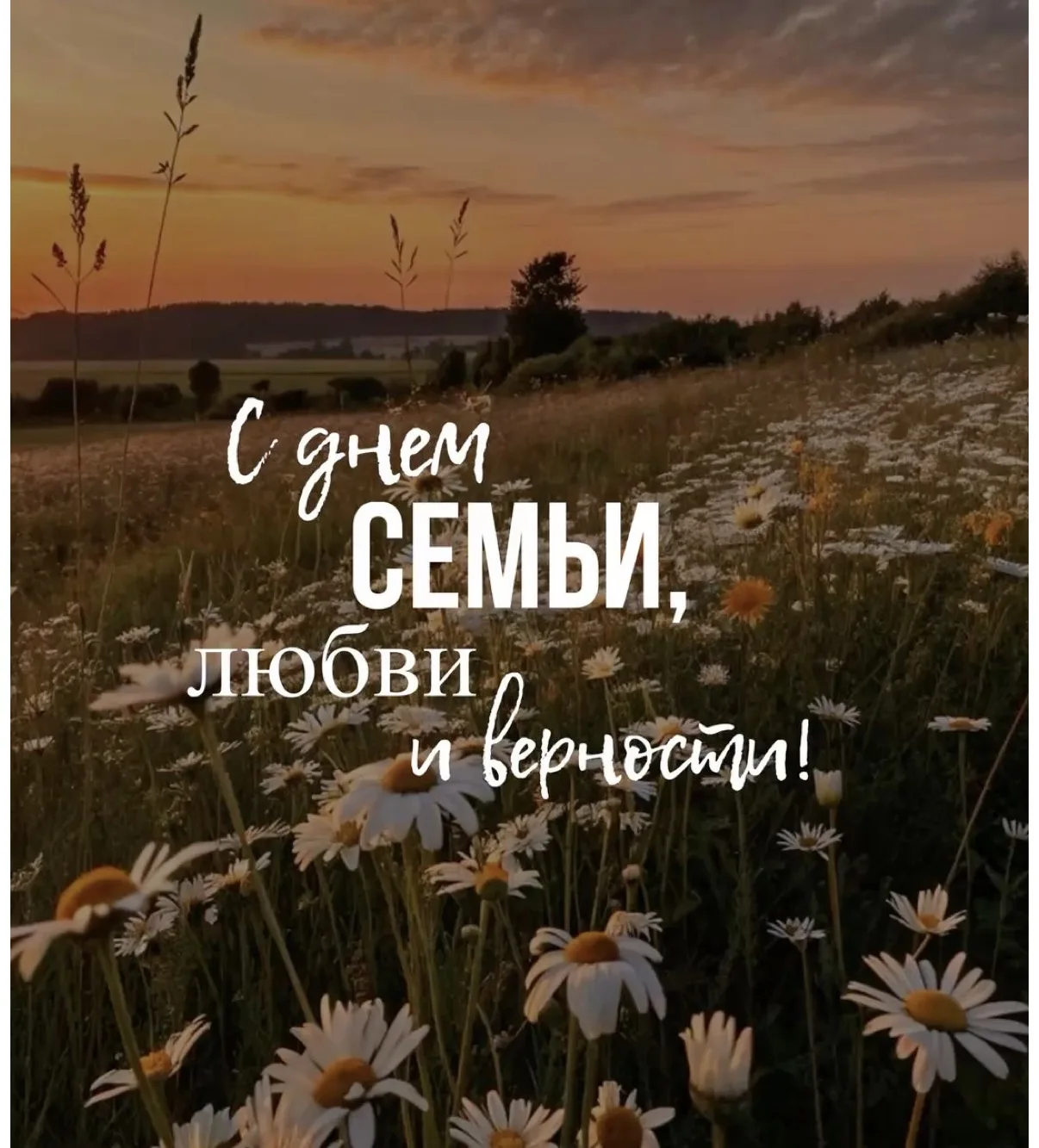 День семьи, любви и верности 💕 

В преддверии Дня семьи, любви и верности в ГБУСО ЦСОН Ленинского р