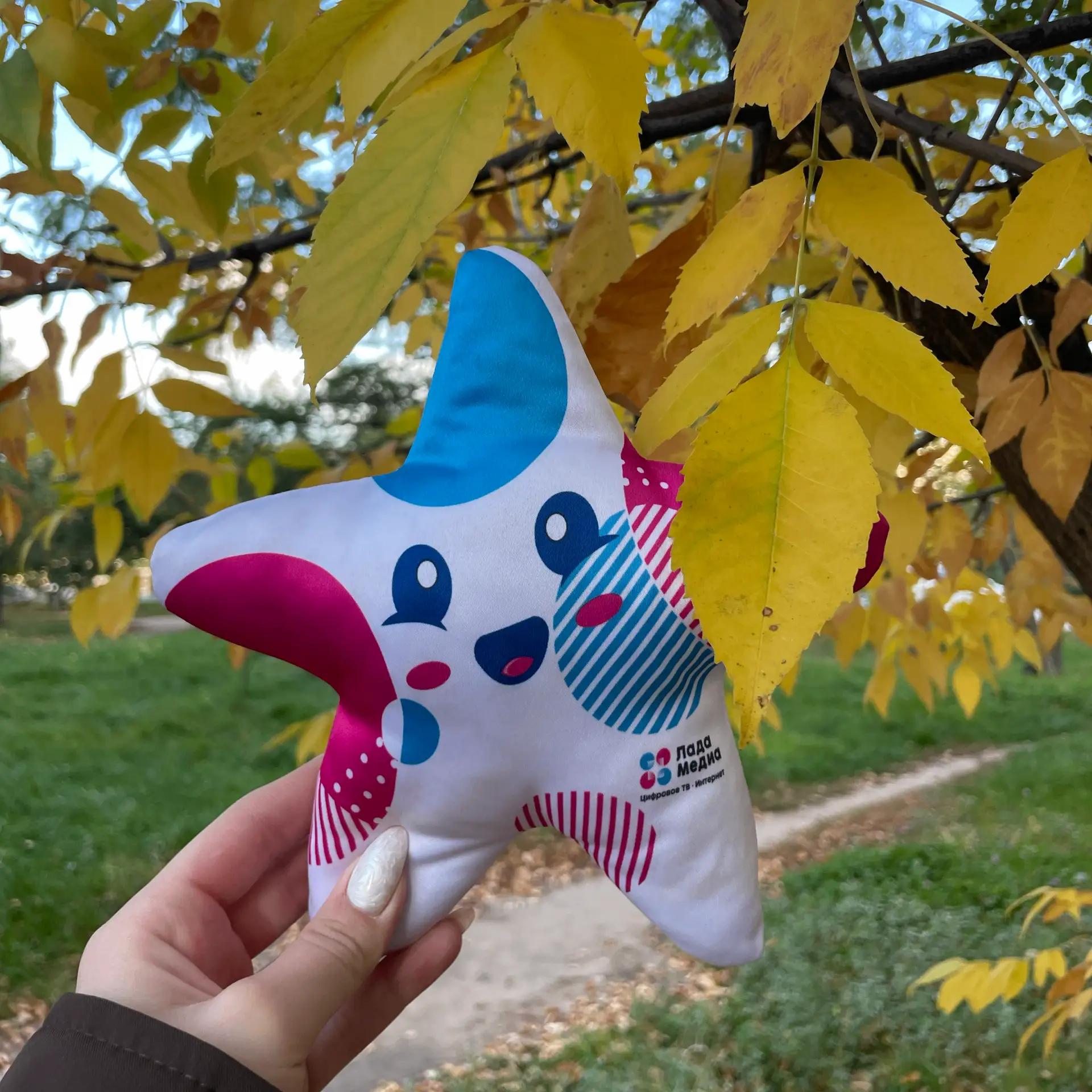 Осень полностью вступила в свои права 🍂