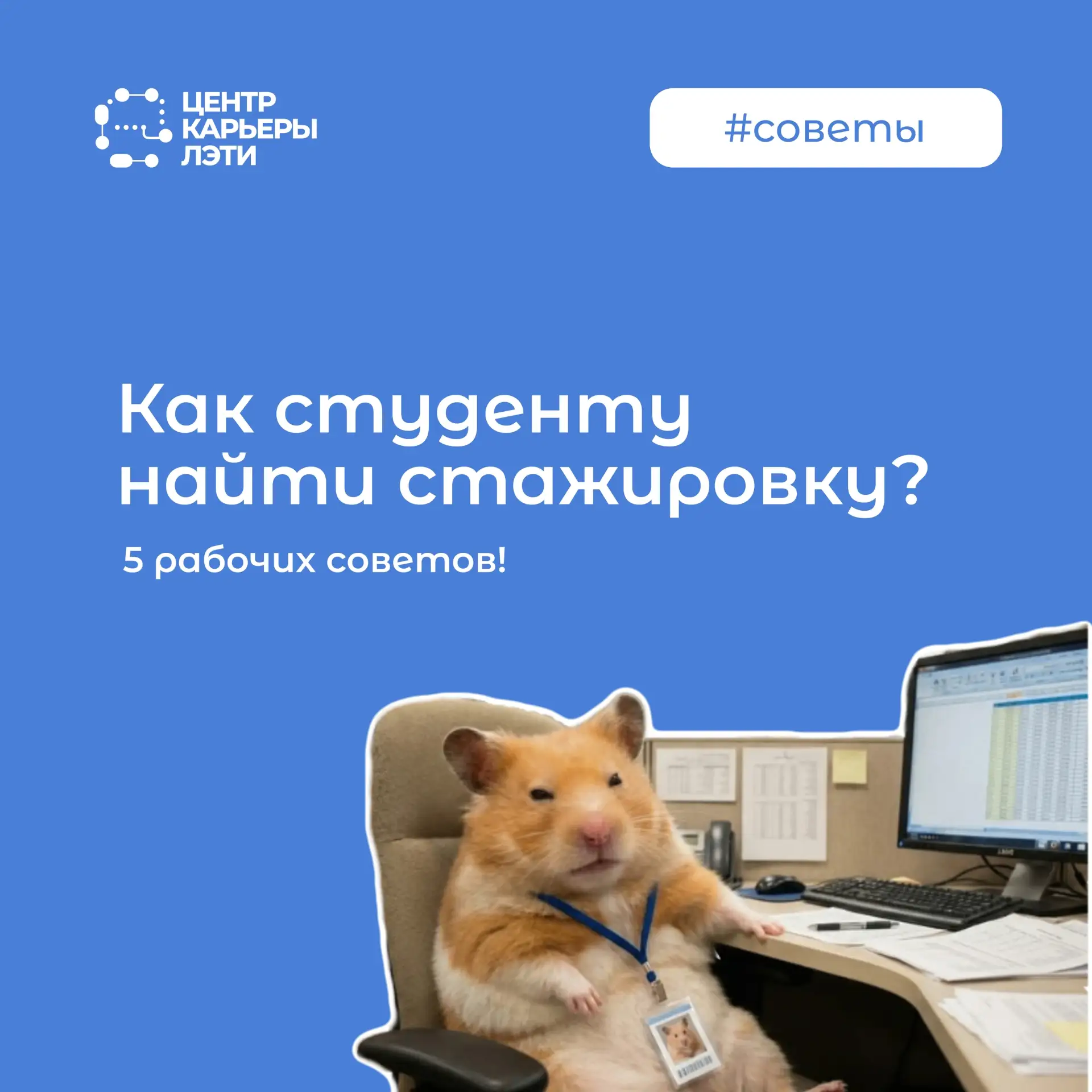 Как найти место стажировки? Разбираемся вместе! 🔎