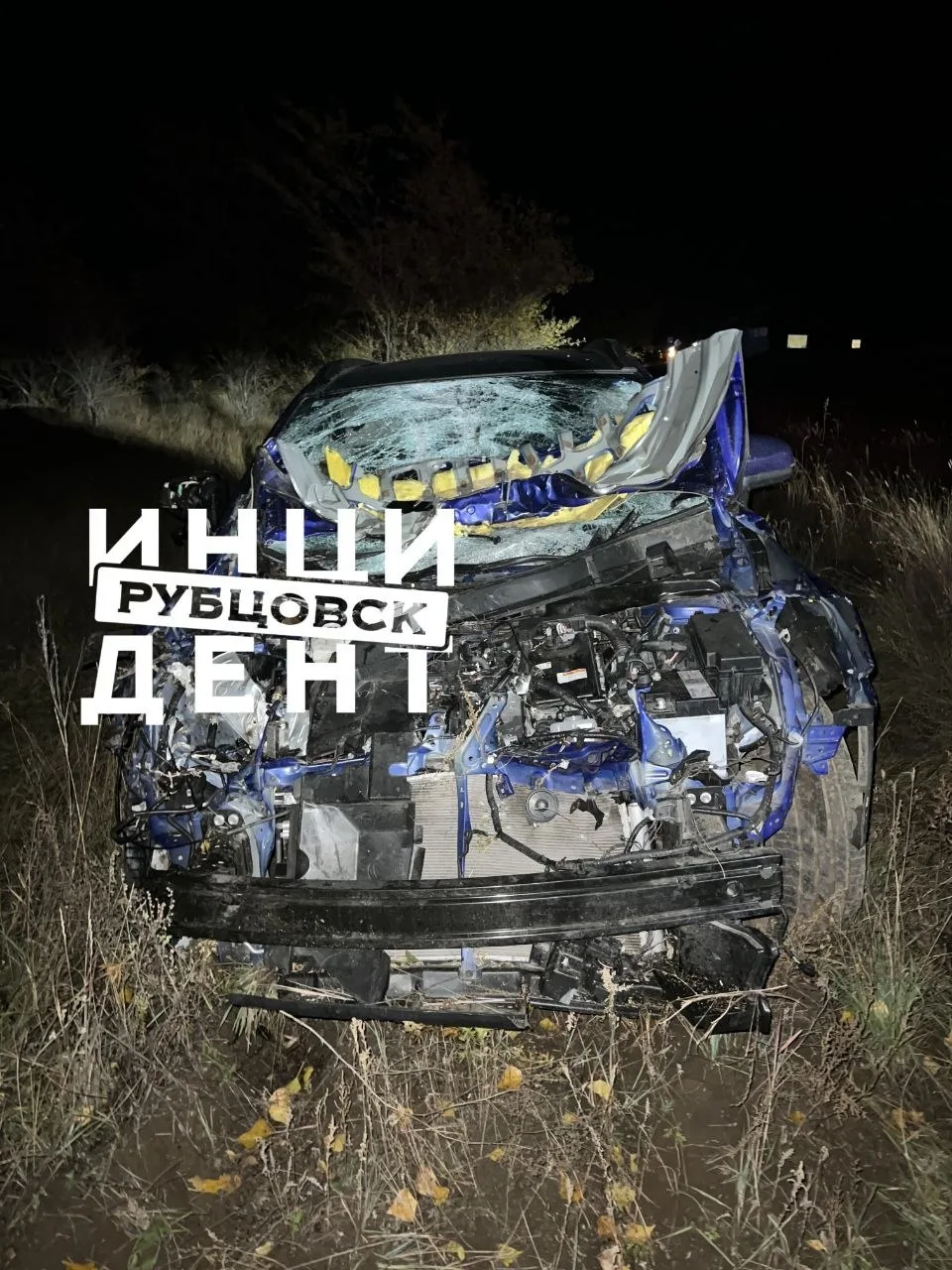 ❗В Рубцовске произошло ДТП с наездом на крупный рогатый скот