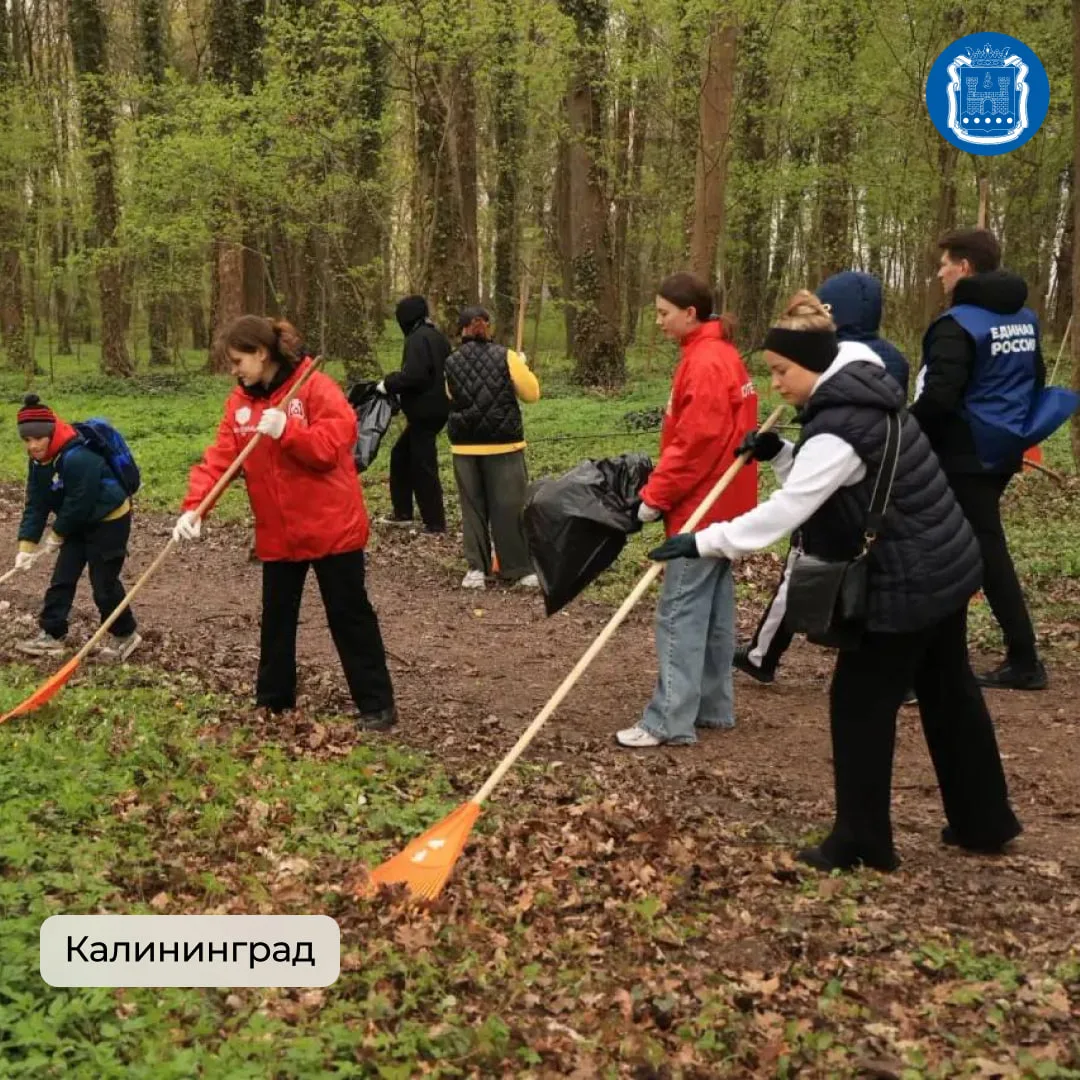 Во всех муниципалитетах области вновь прошли субботники.  Больше семи тысяч жителей убирались в парк