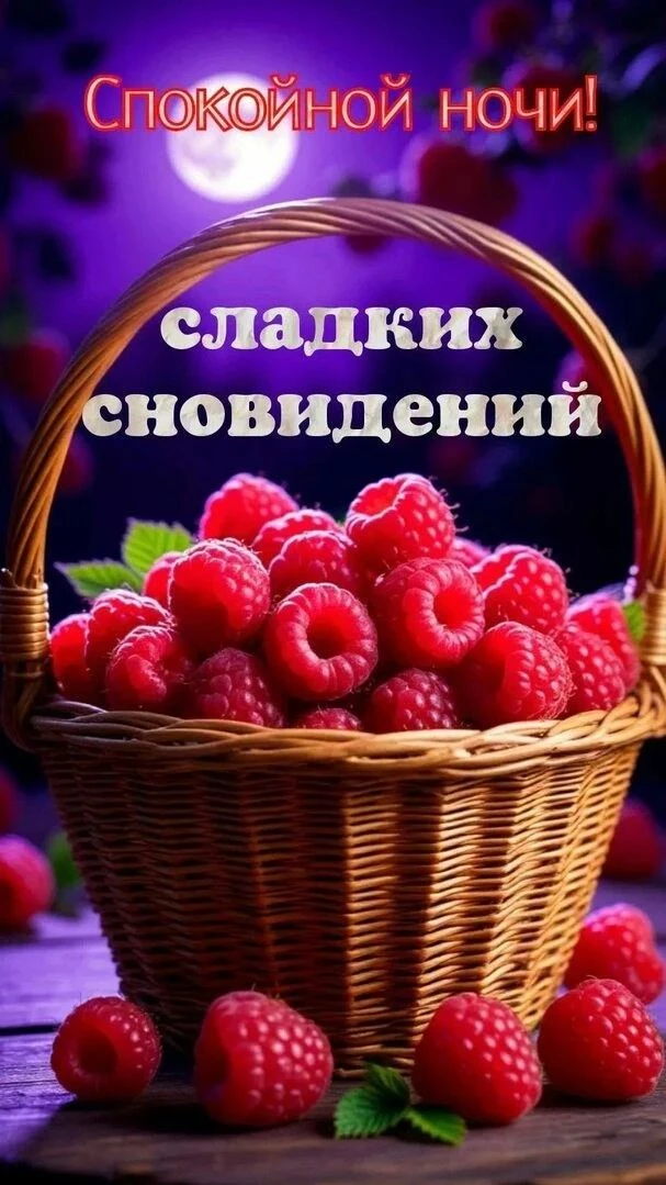 Спокойной ночи, сладких снов ❤️❤️❤️