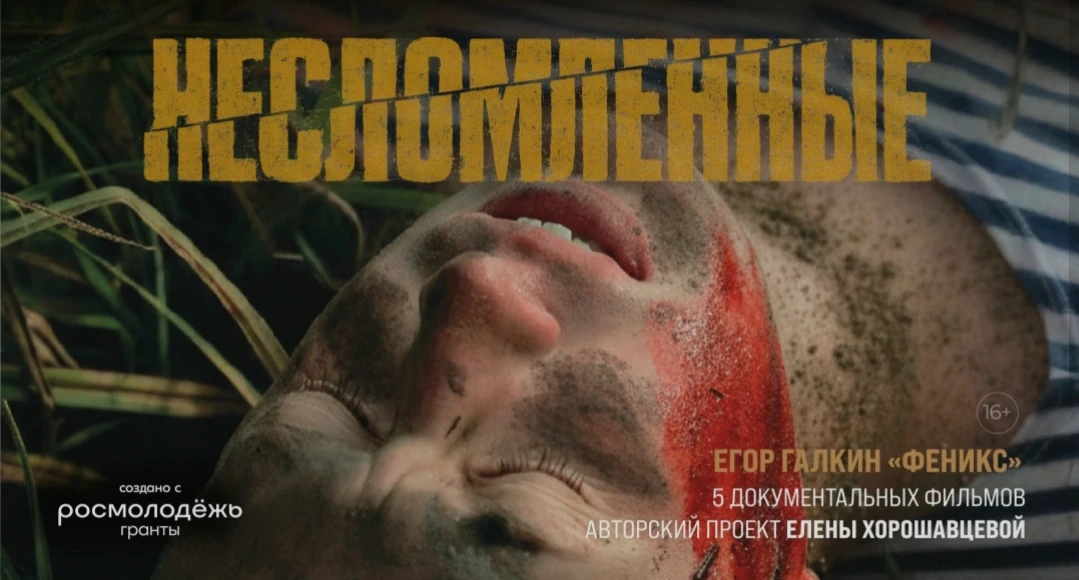 Дорогие друзья!