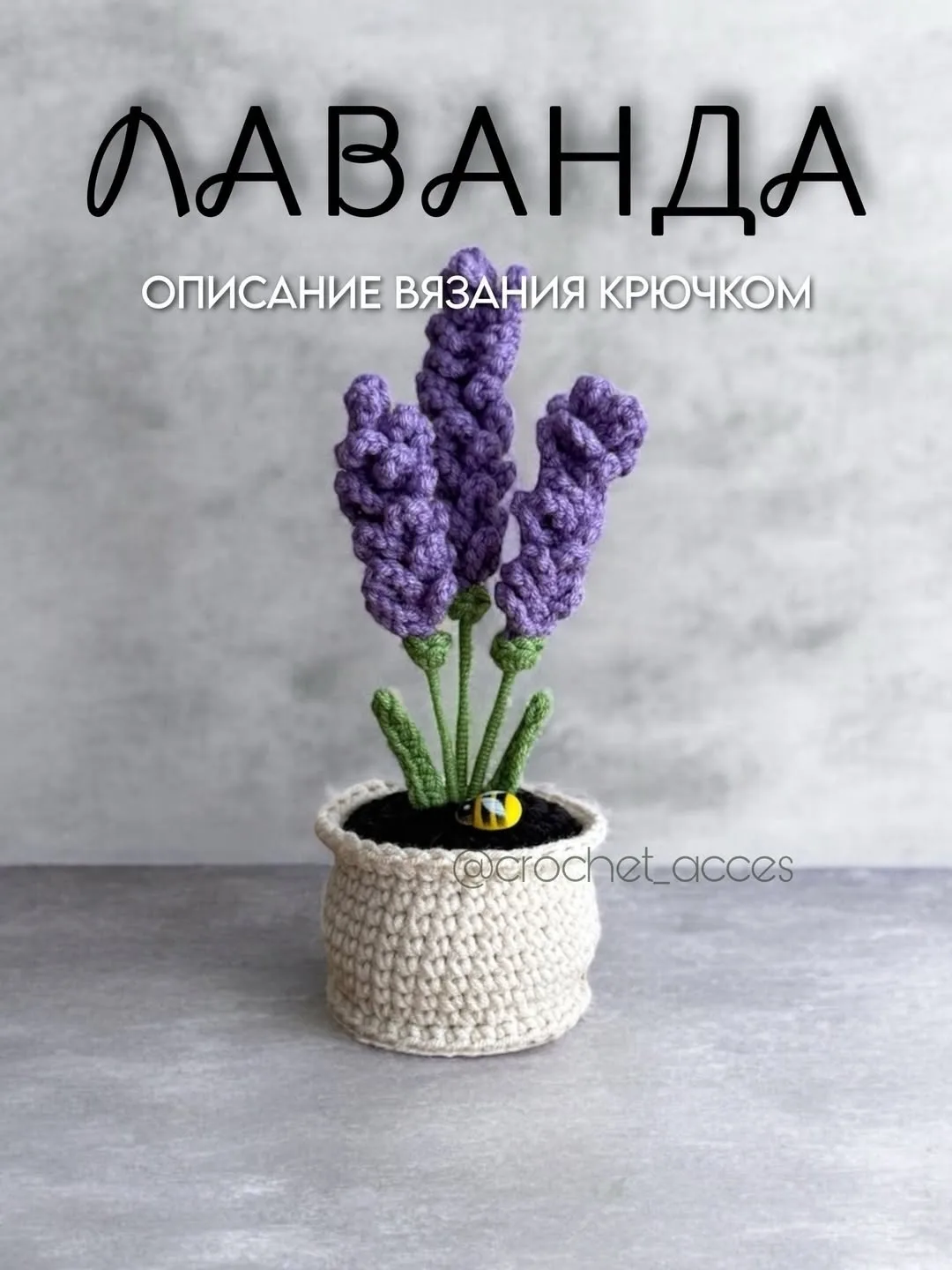 Лаванда в горшочке