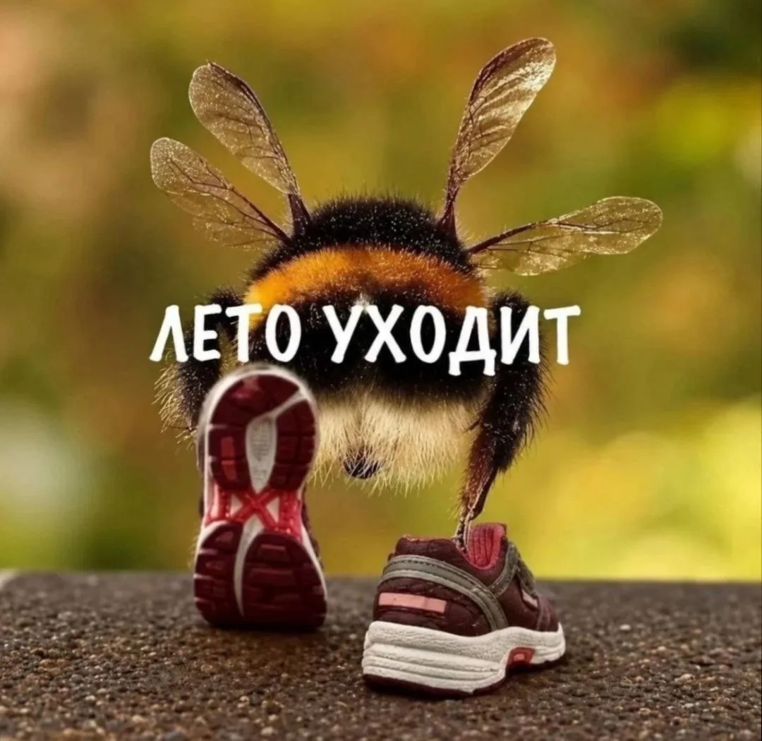 Замечательный подписчик @pryanayayakutia