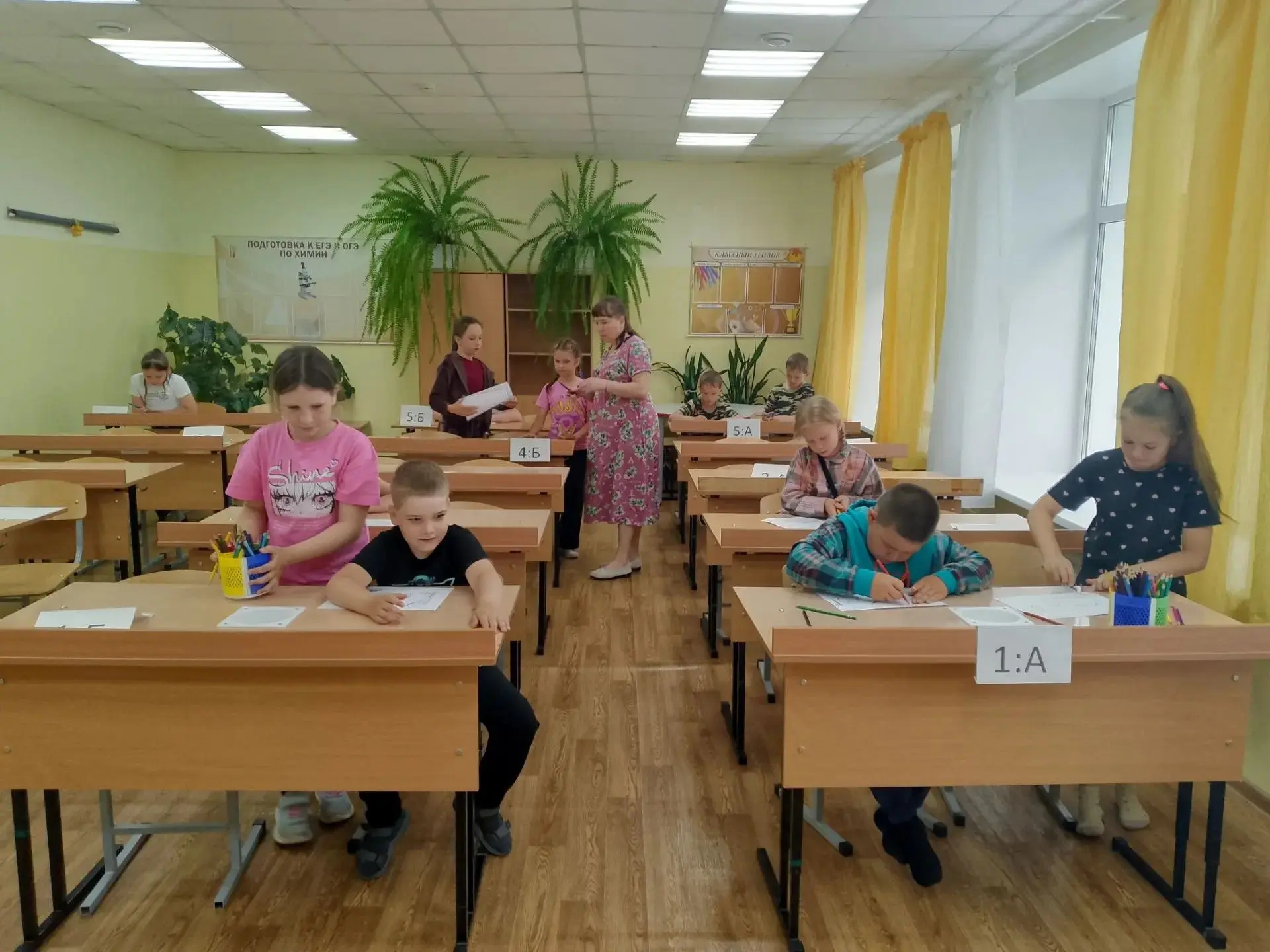 Основной целью работы педагога-психолога А.В. Брылёвой, в пришкольном летнем оздоровительно лагере «