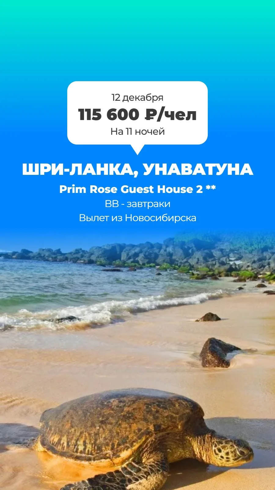 🤩 Яркие краски Шри-Ланки