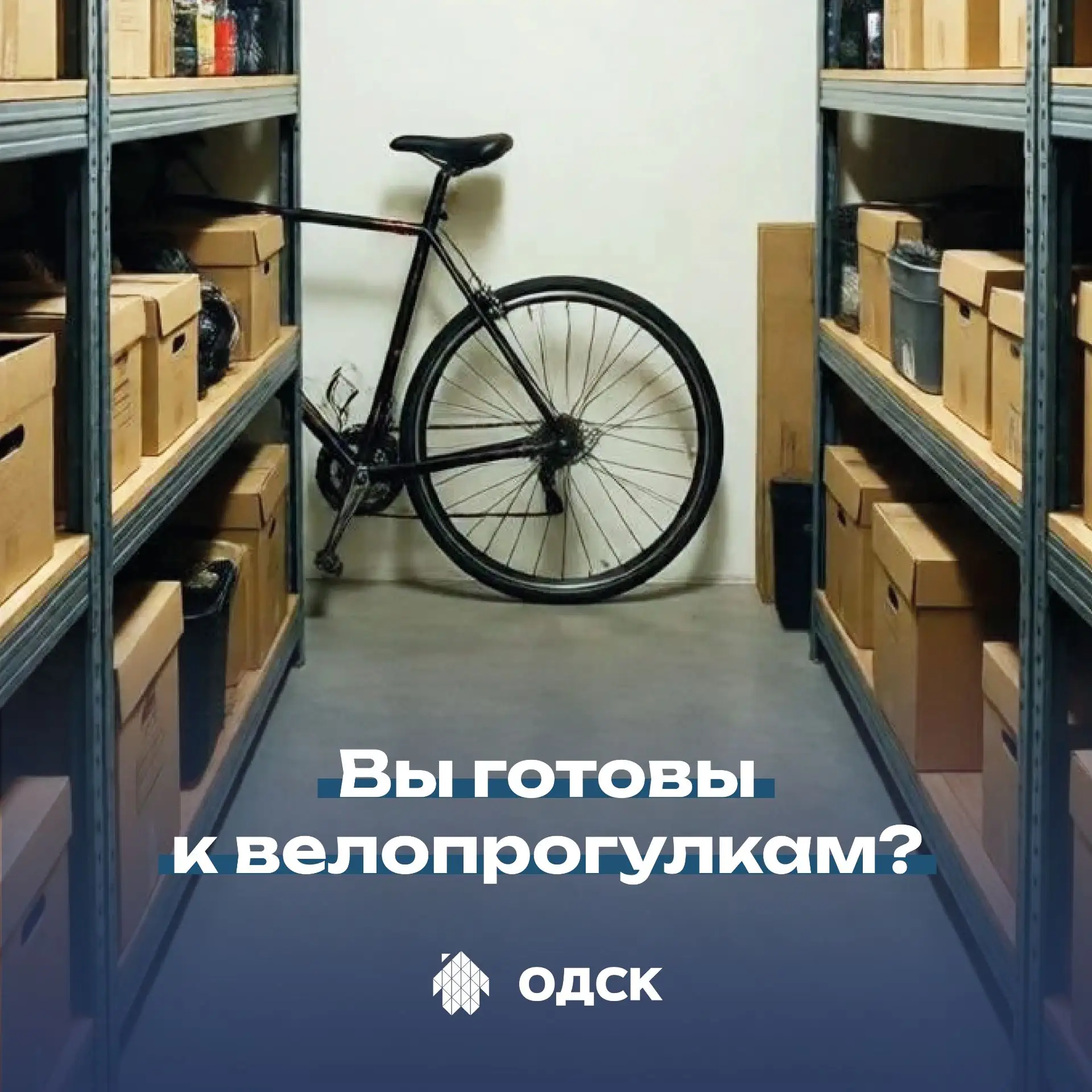 Сухой асфальт и тёплое солнце уже давно приглашают к прогулке. А может, к велопрогулке?
