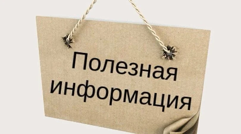 Как не стать жертвой укуса собаки? Чтобы избежать опасных ситуаций и сохранить здоровье — соблюдайте