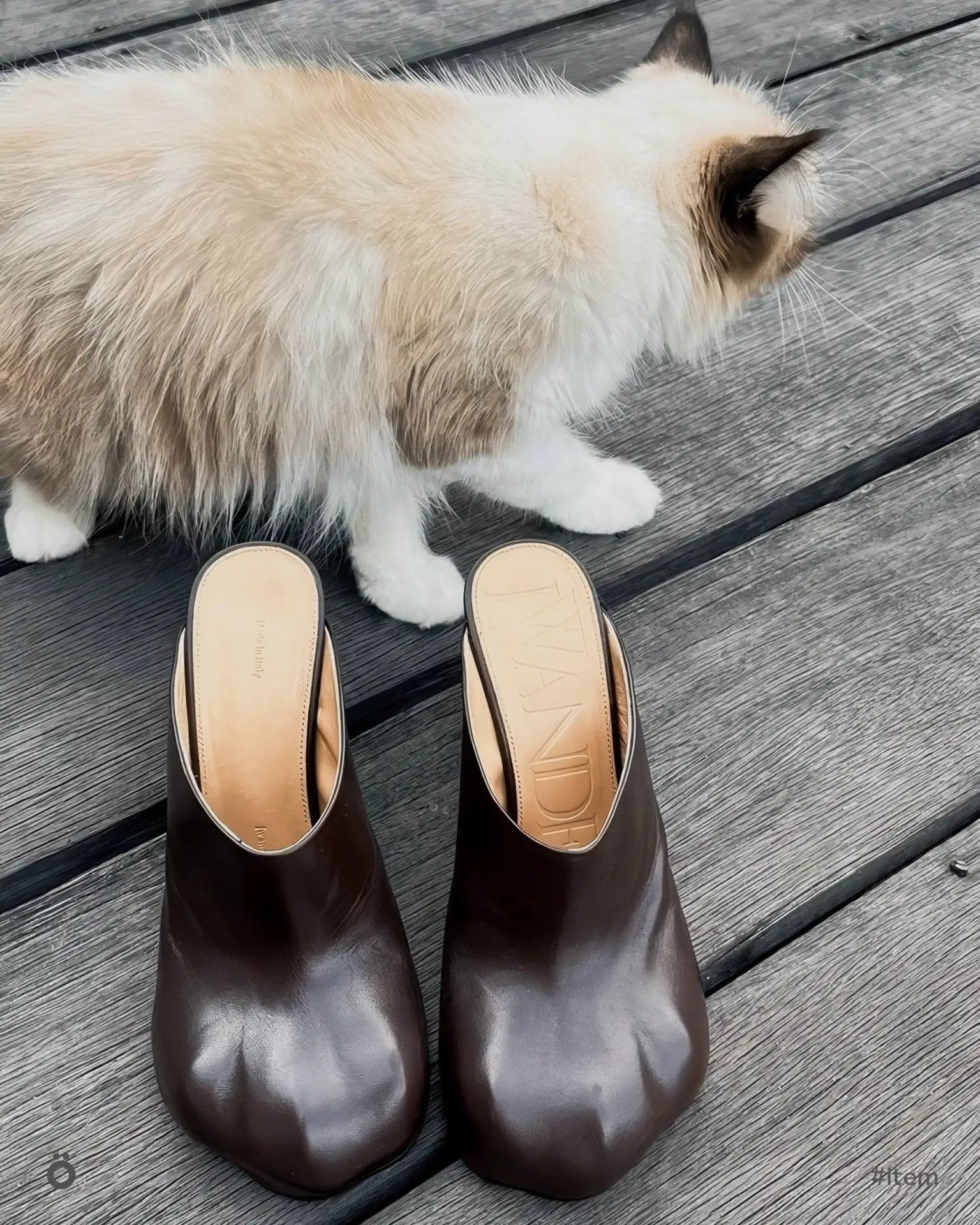 Айтем дня: культовые Paw Boots от JW Anderson в виде кошачьих лап. Укрась свой образ! 🐾
