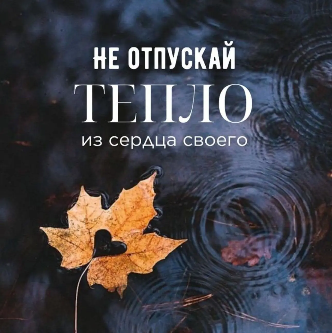 До завтра, родные..