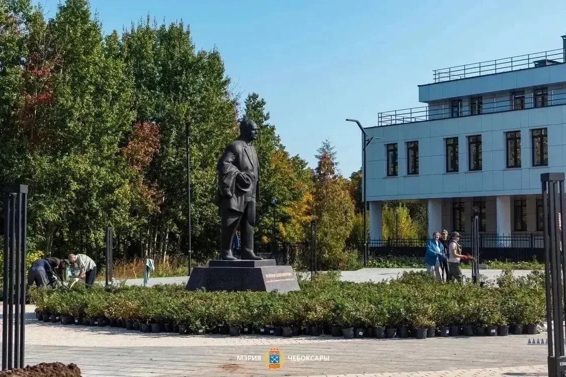 🌳 Работы в сквере Ислюкова в СЗР