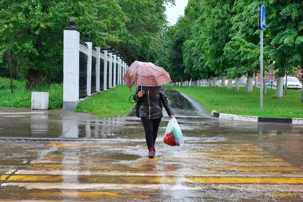 ☔️ Жителей Подмосковья ожидает дождливая середина недели, однако уже к выходным погода заметно улучш